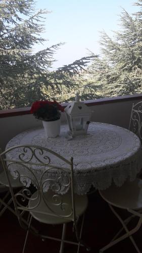  Dolci Ricordi in Livorno