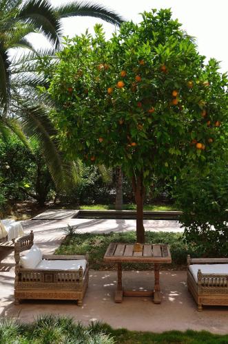 21848643 Ksar Char-Bagh Small Luxury Hotels