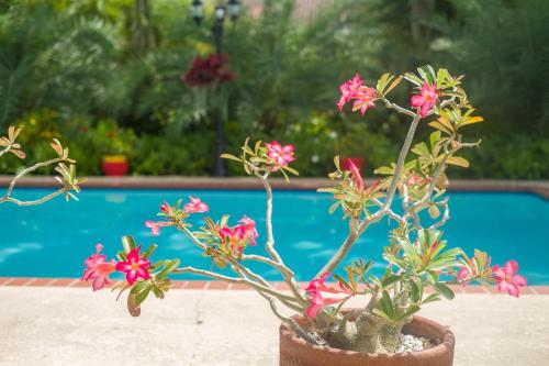 Swimming pool, Yuli's Home in South Miami Heights