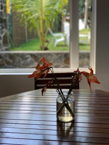 Whynot Mauritius - Tap to explore photos