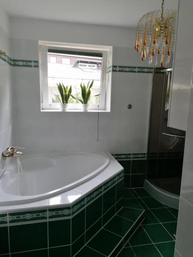 Pod Sosnami Pod Sosnami