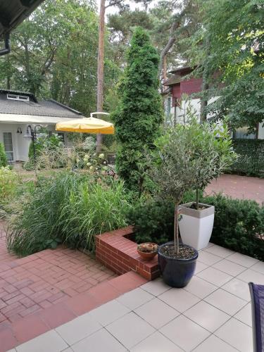 Pod Sosnami Pod Sosnami