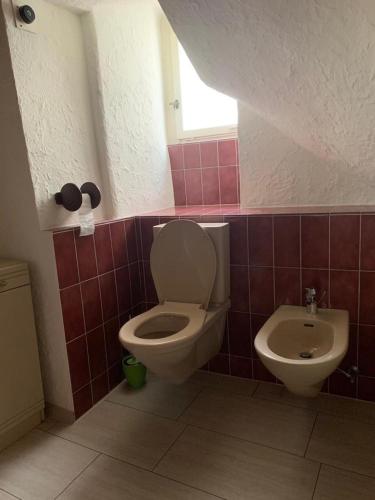 Friendly Hostel Zürich – Zurich, CO