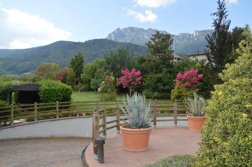 Il Gallo, Pergine Valsugana (fotografie 4)