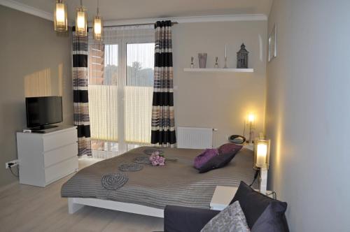 Deluxe Apartment with Balcony (3 Adults) - ul. Orzeszkowej 4 image 8