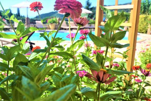 Harvest Moon Apartments 5