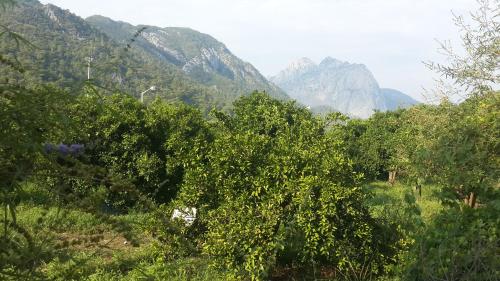  Zübeyde Hanım Evleri in Antalya