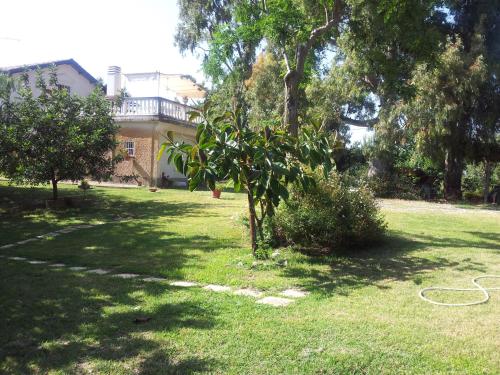 One-Bedroom Apartment with Garden View