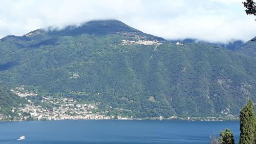  Gli Ulivi di Nesso in Nesso