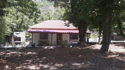  Among the platans in Seliána