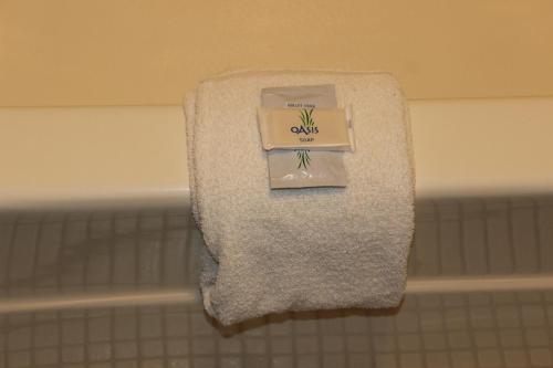 Woodland Inn & Suites - image 9