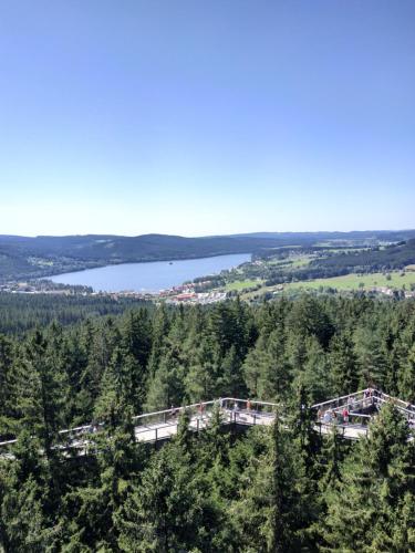 Surrounding environment, Apartman Laura, Frymburk in Frymburk