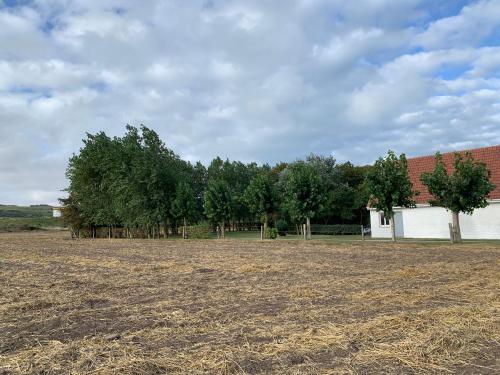 Sangatte kite 200m de la plage 3 chambres gîte à louer Forêt d'Éperlecques