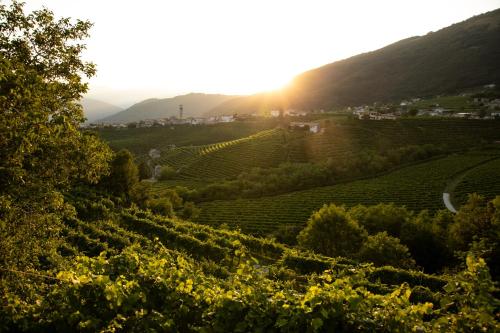 Oasi di pace nel sito UNESCO del Prosecco DOCG 5