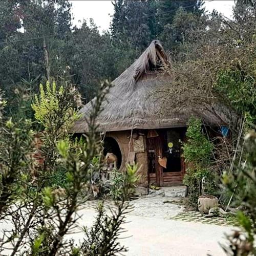 . Cabañas Rukas Licantén