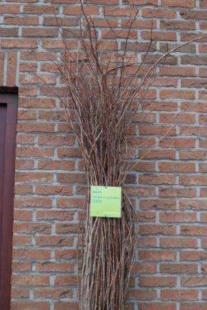 't Bruggeske - image 6