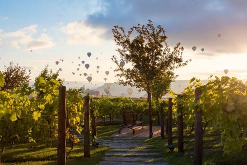 Ariana Sustainable Luxury Lodge - Special Category - Cappadocia - image 4