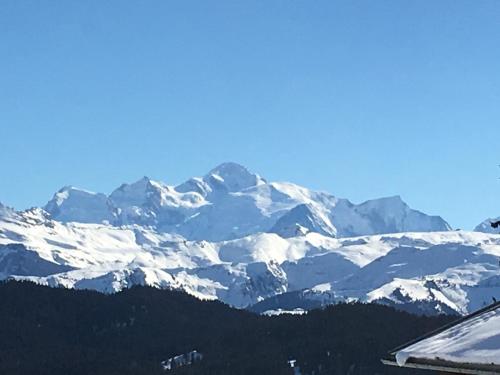 Chalet Fleur des Neiges