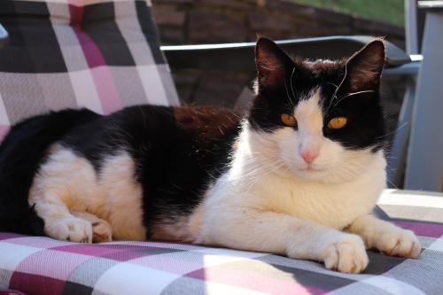 Ferienhaus Aurelia Ferienhaus Aurelia