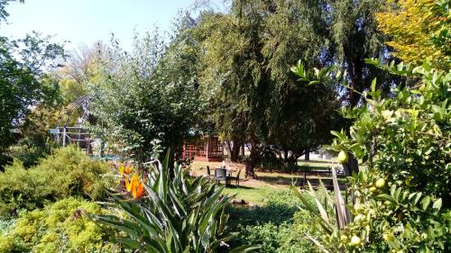 Grey Goose Game Lodge Grey Goose Game Lodge