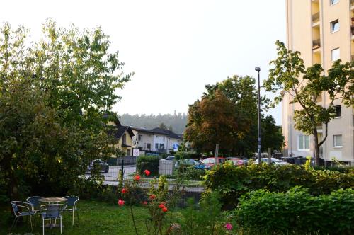 Flower valley