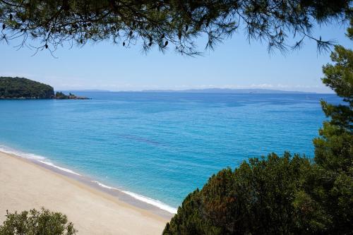 MarBella Elix - image 7