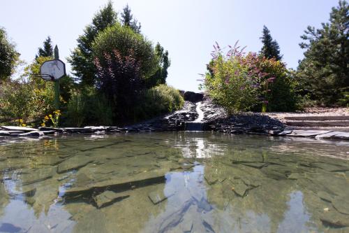 Apartmany PEMI Potstejn in Potstejn