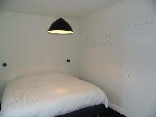 Quarante Cinq - main image