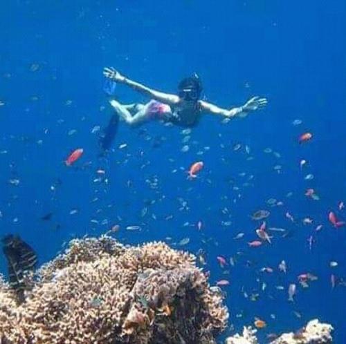 Taman Menjangan homestay by SnorkelingMenjangan