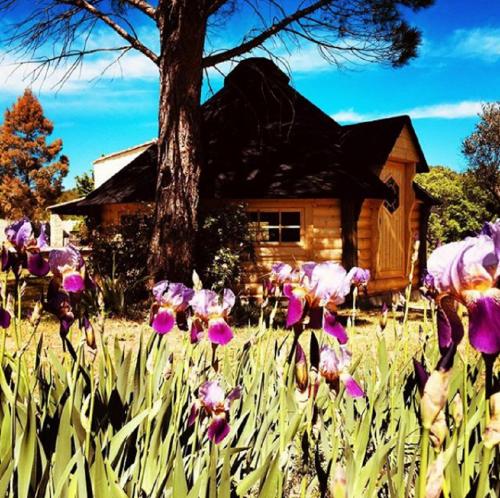 Cabane Kota gîte à louer Cannes-et-Clairan