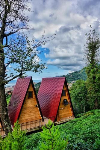  Loya Butik Otel, Rize bei Dernek