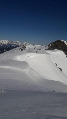 Haus Alpenheim