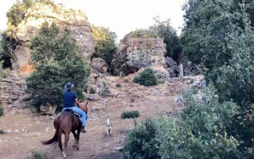 Atlas Crown - Chalet de luxe