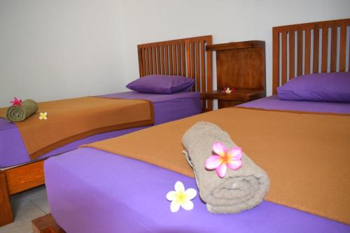 Safsia homestay Bali