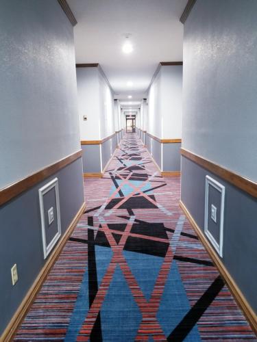 Baymont by Wyndham Indianapolis Northwest - image 2