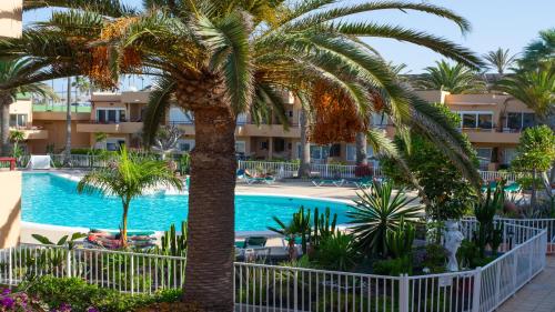  La Primera Duna - Residencial Las Dunas in Corralejo