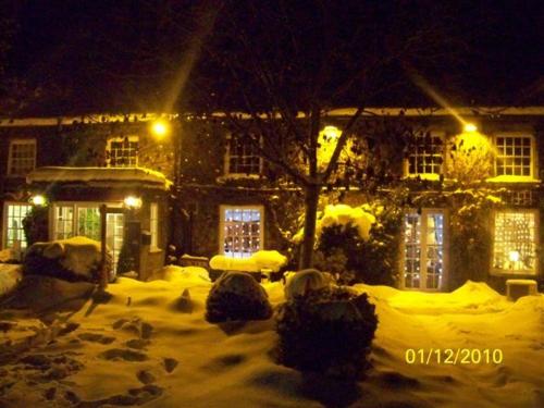 The Treebridge Hotel - image 11