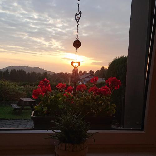 Ferienwohnung Lenneplatze in Winterberg