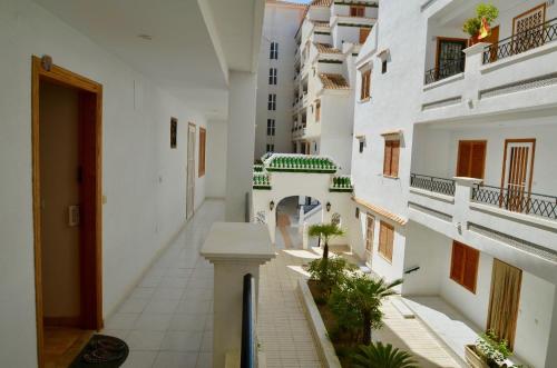 One-Bedroom Apartment image 10