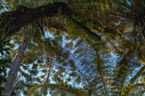 Suíte "Vale do Luar" - Capivari