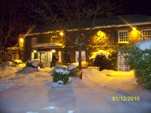 The Treebridge Hotel - image 7