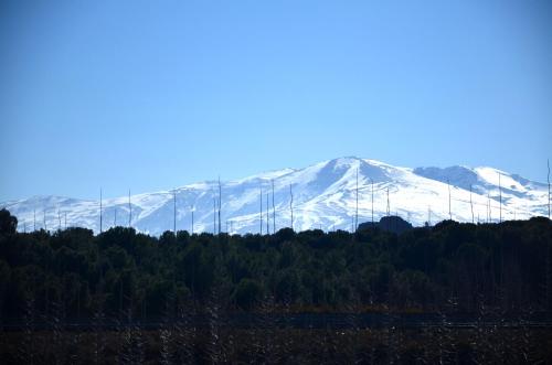 Cuevas Cortijo Gachas