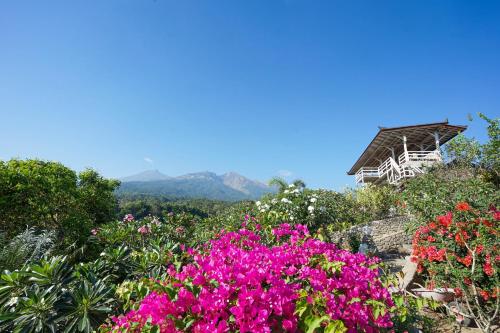 Rinjani Lodge