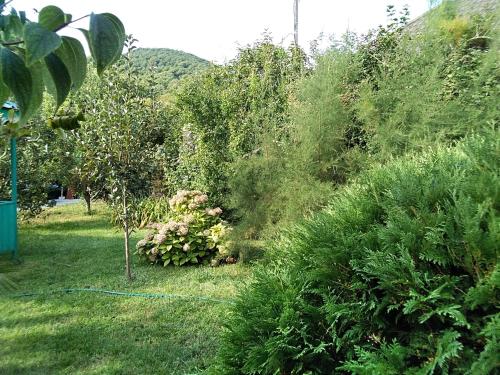Guest house Na Lesnoy - image 5