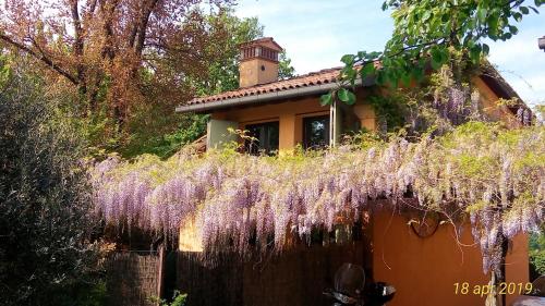 Il Fienile, casa vacanza in campagna con parcheggio privato e giardino privato, a 6 chilometri da Bologna centro e 1 chilometro da Bologna Fiera, Parco commerciale Meraville e Gran Tour Italia 3