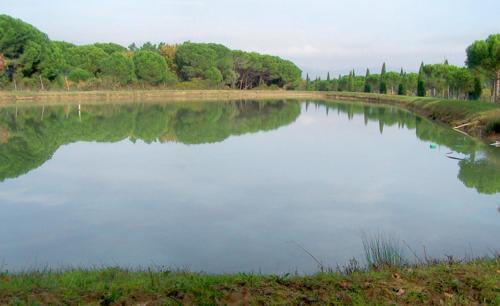 Agriturismo Lanterna Rossa
