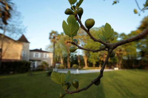 Chateau Saint Martin B&B