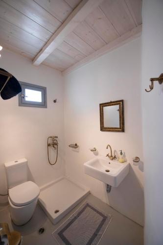Siourdas Mykonos Villas - image 10