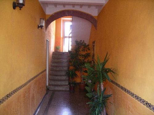  Affittacamere La Rosa in Lucca