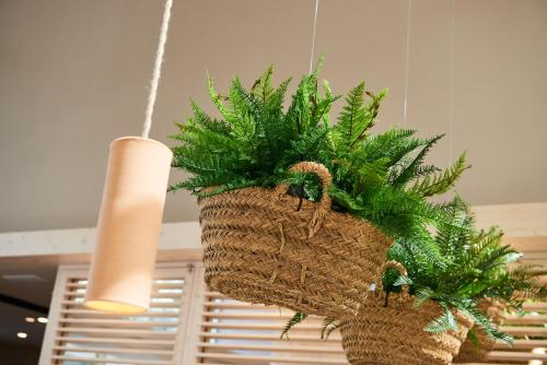 Protur Floriana Resort 3* SUP - image 14
